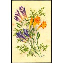 V. Hancke - W.J. 530 - Brugt