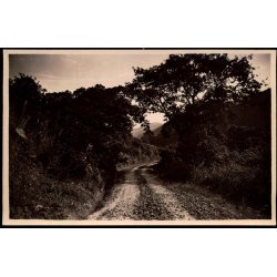 Congo Belge - Route automobile Costermanville Ugira - Fotokort 2 - 5 - Ubrugt