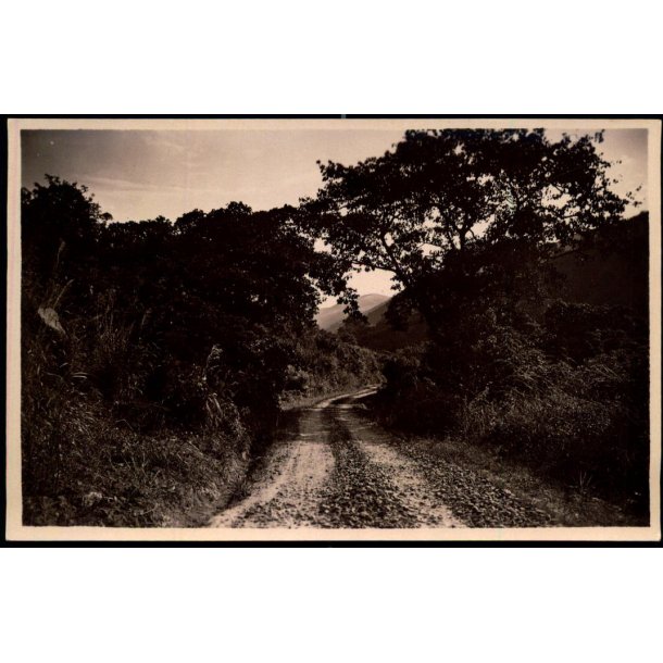 Congo Belge - Route automobile Costermanville Ugira - Fotokort 2 - 5 - Ubrugt