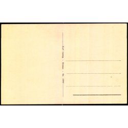 Krusaa - Norsk Monument - Karl Immig 13597 - Ubrugt