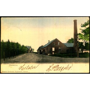 Hammerum - H. Erichsens Bogh. u/n - Brugt