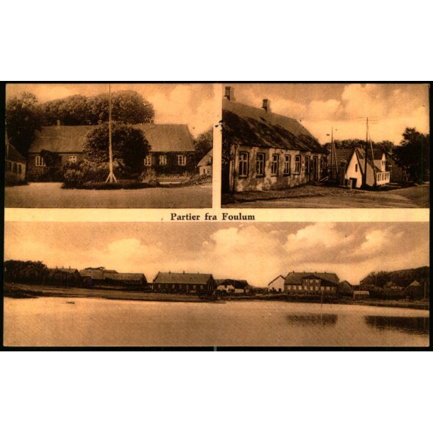 Partier fra Foulum - N. Clemmensen 894 - Brugt