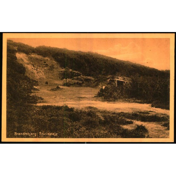 Brantebjerg - Tisvildeleje - K. Poulsens Bogh. 22089 - Ubrugt