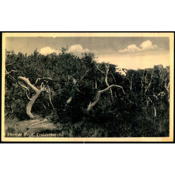 Tisvilde Hegn - Troldeskoven - Rudolf Olsen  9284 - Brugt