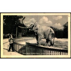 Zoologisk Have i Kbenhavn - Jombo paa aaben Arena - Zoo Nr. 10 - Brugt