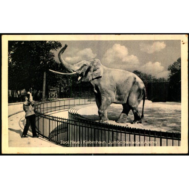 Zoologisk Have i Kbenhavn - Jombo paa aaben Arena - Zoo Nr. 10 - Brugt