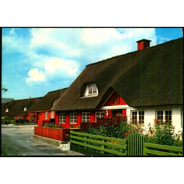 Fan� - CIC 782 - Brugt