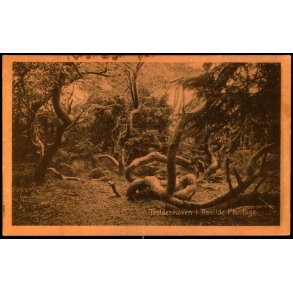 Tisvilde Hegn - Troldeskoven - V. T�rck 834 - Brugt