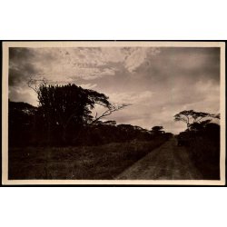 Congo Belge - Route automobile Costermanville Ugira - Plaine de Kamaniola - Fotokort 2 - 7 - Ubrugt