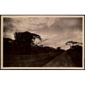 Congo Belge - Route automobile Costermanville Ugira - Plaine de Kamaniola - Fotokort 2 - 7 - Ubrugt