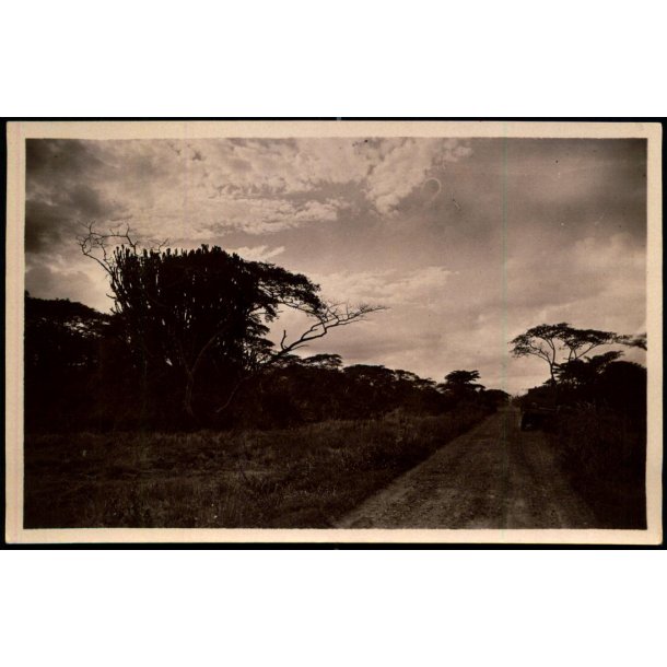 Congo Belge - Route automobile Costermanville Ugira - Plaine de Kamaniola - Fotokort 2 - 7 - Ubrugt