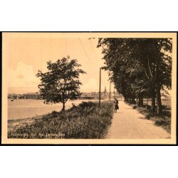 Aabenraa set fra Lensnakke - Bojsens Bogh.  53496 - Ubrugt