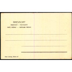 Kbenhavn - Frederiksberg Slot - Peter Alstrup 43 - Ubrugt