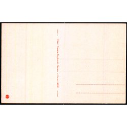 Skagen - Kongens Bolig - Klitgrden - Nielsen 68747 - Ubrugt