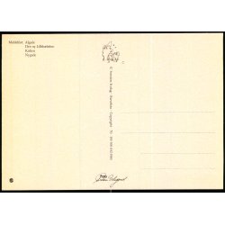 Middelfart - Stender 149 506 042 - Ubrugt