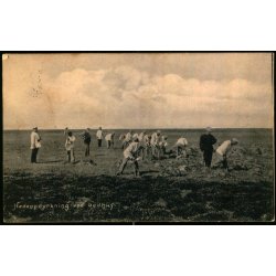 VILDBJERG p Postkort