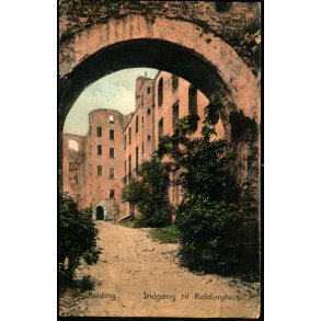 Kolding - Indgang til Koldinghus - Stender 1737 - Brugt