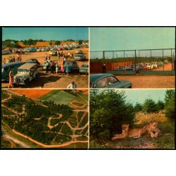 Vejle - Zoo - L�veparken   - Vejle Papir 9 - Ubrugt