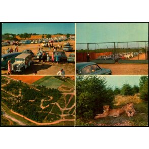 Vejle - Zoo - L�veparken   - Vejle Papir 9 - Ubrugt