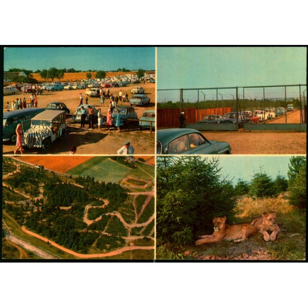Vejle - Zoo - Lveparken   - Vejle Papir 9 - Ubrugt