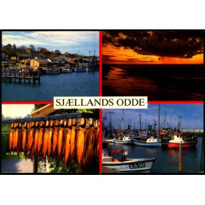 Sj�llands Odde - Trojaborg SJO 1 - Brugt