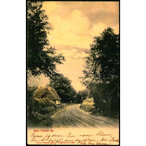Gade i Tisvilde By - A. Jensens Bogh. 2287 - Brugt