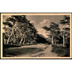 Troldeskoven - Asserbo - E. Ramlaus Bogh. 78365 - Ubrugt