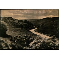 Rebild - Hulvejen - Eneret 94171 - Ubrugt