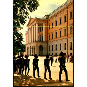 Garden ved slottet - Oslo - Aune 7054/4 - Ubrugt