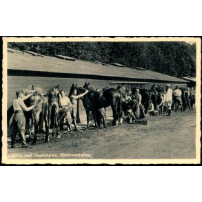 Lejren ved Jgerspris - Hestevartning - E. Roses Bogh. 7 - Ubrugt