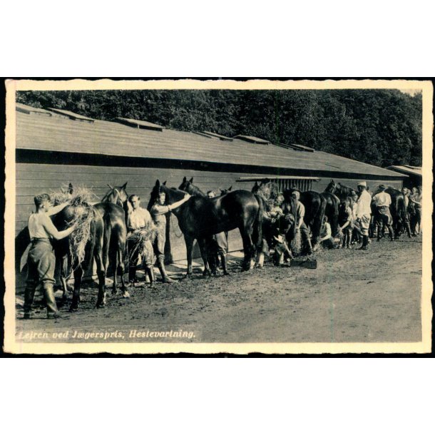 Lejren ved Jgerspris - Hestevartning - E. Roses Bogh. 7 - Ubrugt