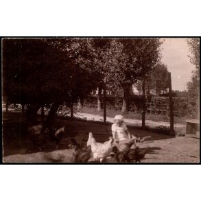 Fotokort Ukendt - Barn  med H�ns - Ubrugt