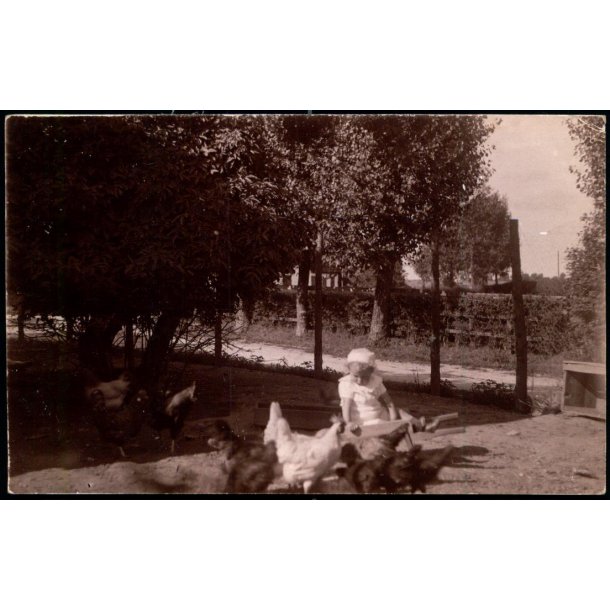 Fotokort Ukendt - Barn  med H�ns - Ubrugt