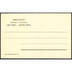 K�benhavn - Christiansborg Slotsruin - Peter Alstrup 315