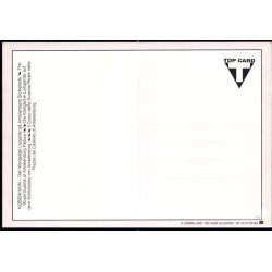 K�benhavn - Den Kongelige Livgarde p� Amalienborg Slotsplads - Gr�nlund T 80