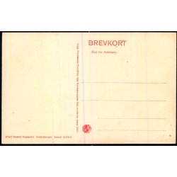 Tisvilde Gade - A. Jensens Bogh. 18878 b - Ubrugt