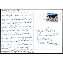 Sundgrden - Tranekr - Det Grafiske Selskab u/n - Brugt