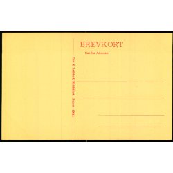 Middelfart - Adlerhus - Carl S. Ladehoffs Bogh. 12614 - Ubrugt