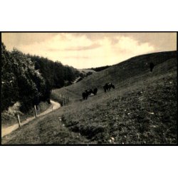 Mols Bjerge - Elles Bogh. 12119 - Ubrugt