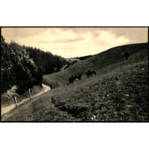 Mols Bjerge - Elles Bogh. 12119 - Ubrugt