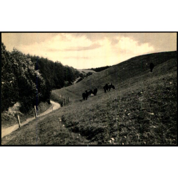 Mols Bjerge - Elles Bogh. 12119 - Ubrugt