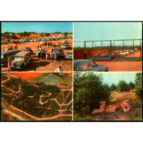 Vejle - Zoo - L�veparken   - Vejle Papir 9 - Brugt