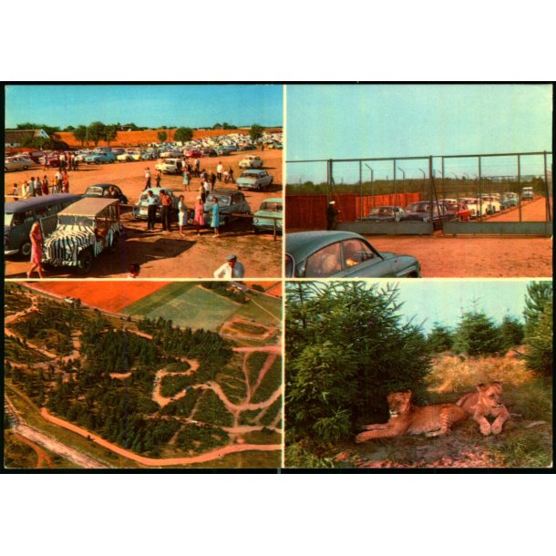 Vejle - Zoo - L�veparken   - Vejle Papir 9 - Brugt