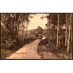 Bornholm - Parti fra Finnedalen - Frits Srensen 17485 - Brugt