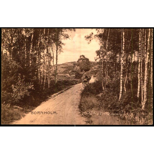 Bornholm - Parti fra Finnedalen - Frits Srensen 17485 - Brugt