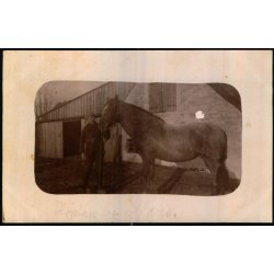 Firh�j - Fotokort u/n - Ubrugt