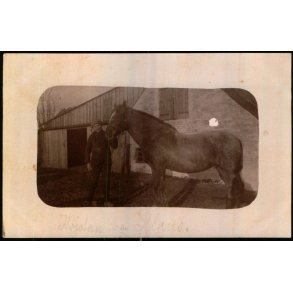 Firh�j - Fotokort u/n - Ubrugt