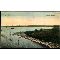 Lyngby - Parti af Fures� - Peter Alstrup 1797 - Brugt - Lille rift !