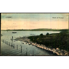 Lyngby - Parti af Fures� - Peter Alstrup 1797 - Brugt - Lille rift !