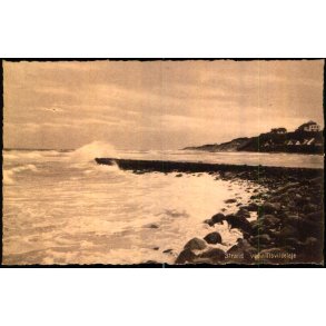 Strand ved Tisvildeleje - Nielsen 49482 - Ubrugt